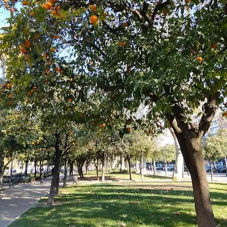 Apartment El Piso Tranquilo *